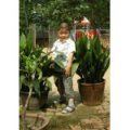 羅莊村小松園幼兒園