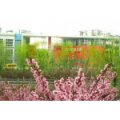 聊城市水城領(lǐng)秀（萬(wàn)花童）幼兒園