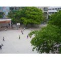 惠州市下埔小學