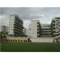 深圳市鹽田區(qū)田東小學