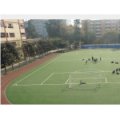 四川大學附屬實驗小學（川大附?。? /><p>學校封面</p>
 	</div>
 	<div class=