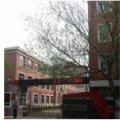 沈陽市四經(jīng)街第一小學（四經(jīng)街一?。?>
<div   id=