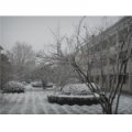 常州市武進區雪堰初級中學